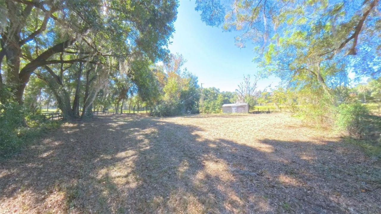 4540 W Highway 318, Citra, FL 32113 Photo