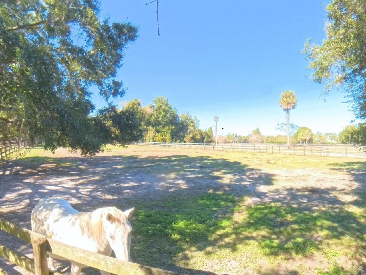 4540 W Highway 318, Citra, FL 32113 Photo