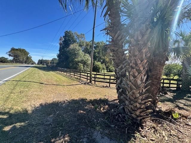 4540 W Highway 318, Citra, FL 32113 Photo