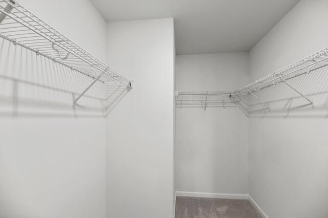 1302 Berry Grove Drive Photo 15