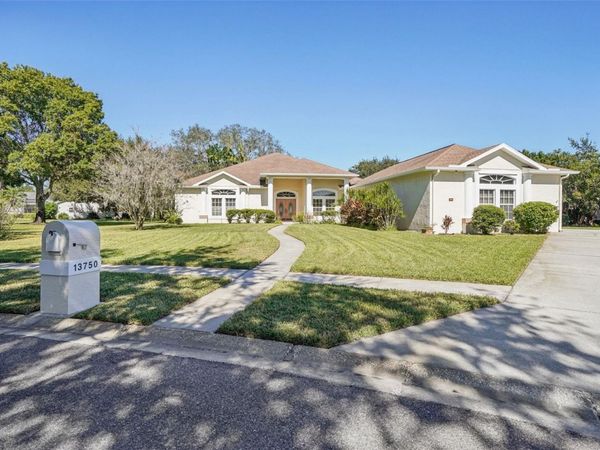 13750 DOWLING LANE, ODESSA, FL 33556