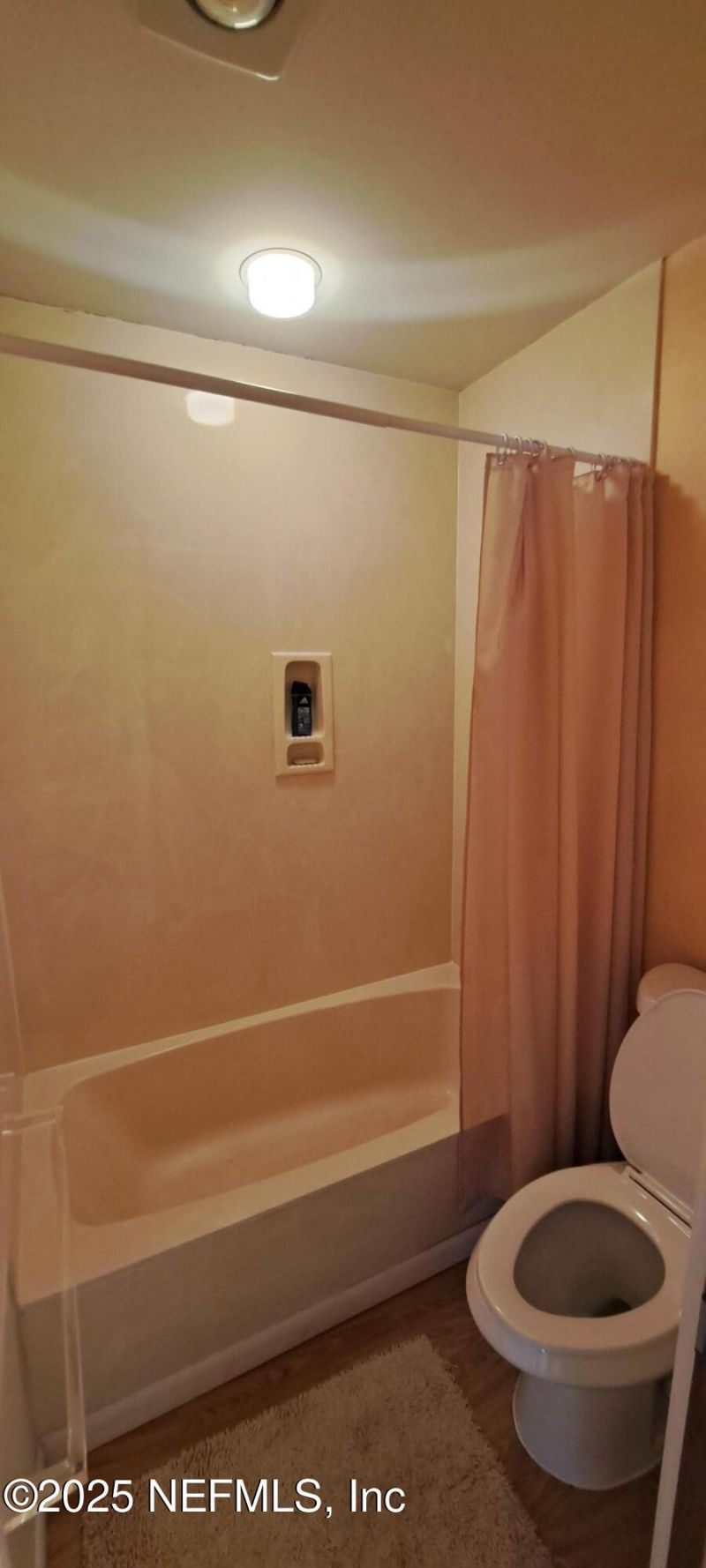 115 Eagles Nest Lane, Crescent City, FL 32112 Photo