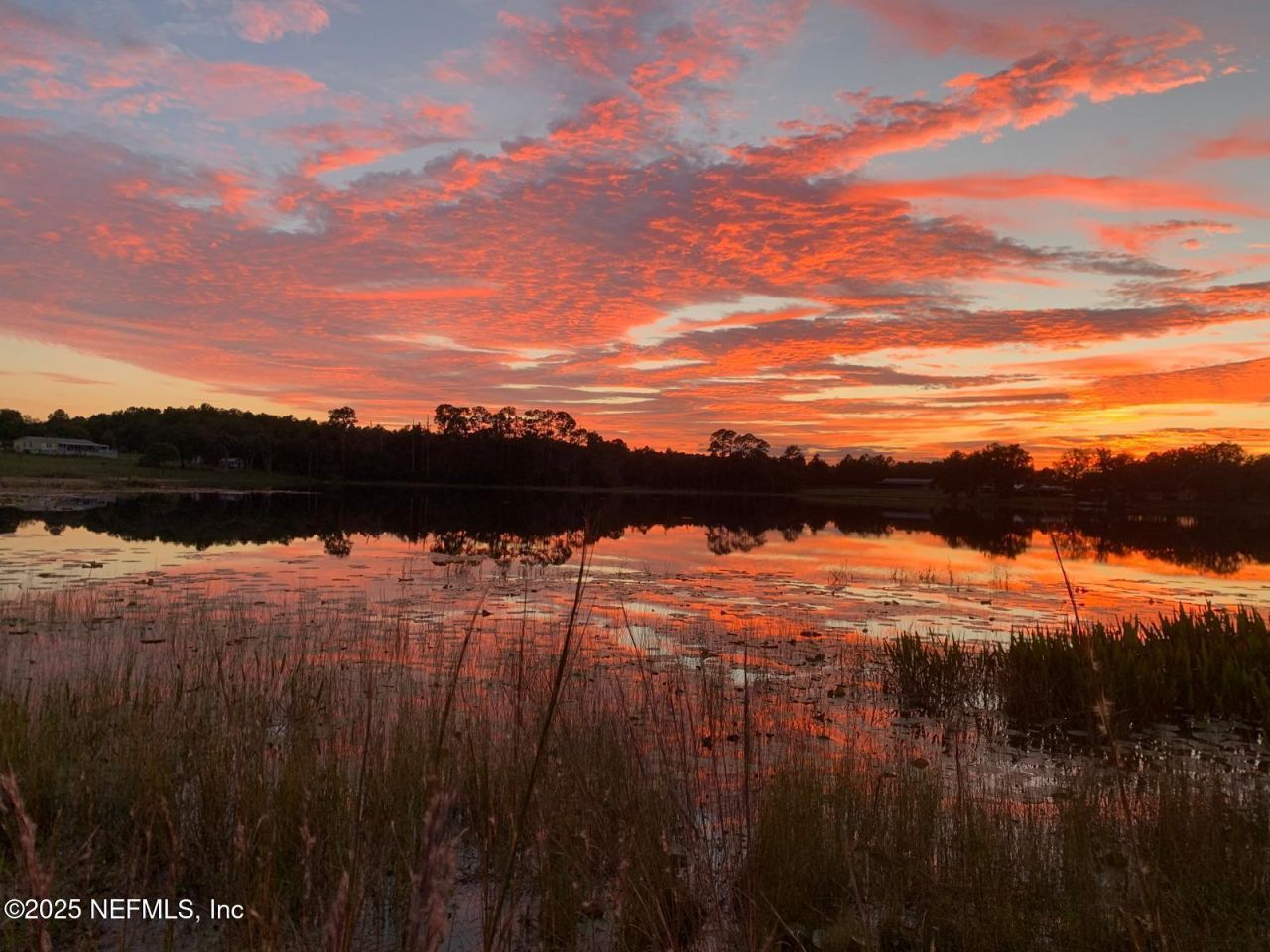 115 Eagles Nest Lane, Crescent City, FL 32112 Photo
