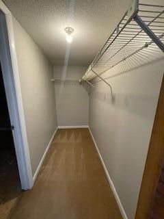 405 Waterwood Drive Drive Photo 22