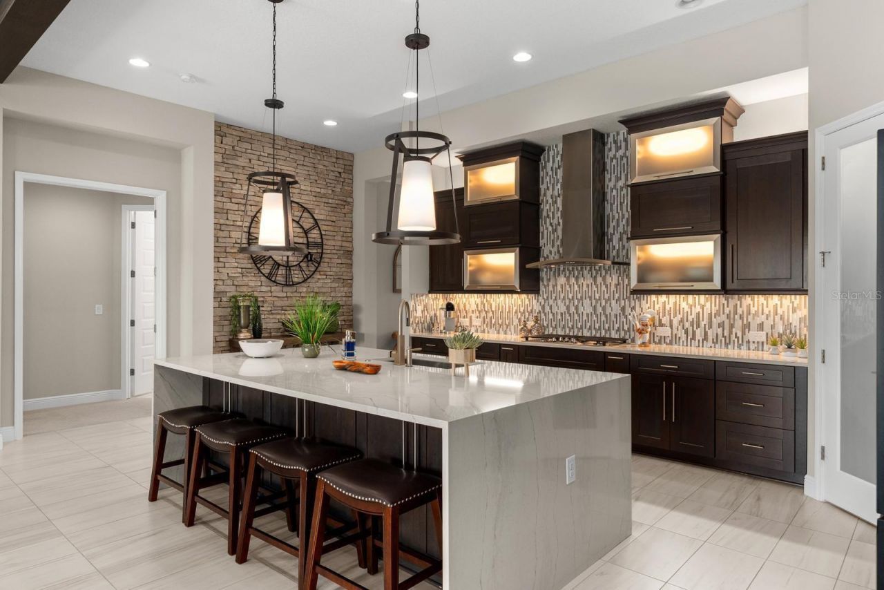 21642 Emory Oak Place, Land O Lakes, FL 34637 Photo