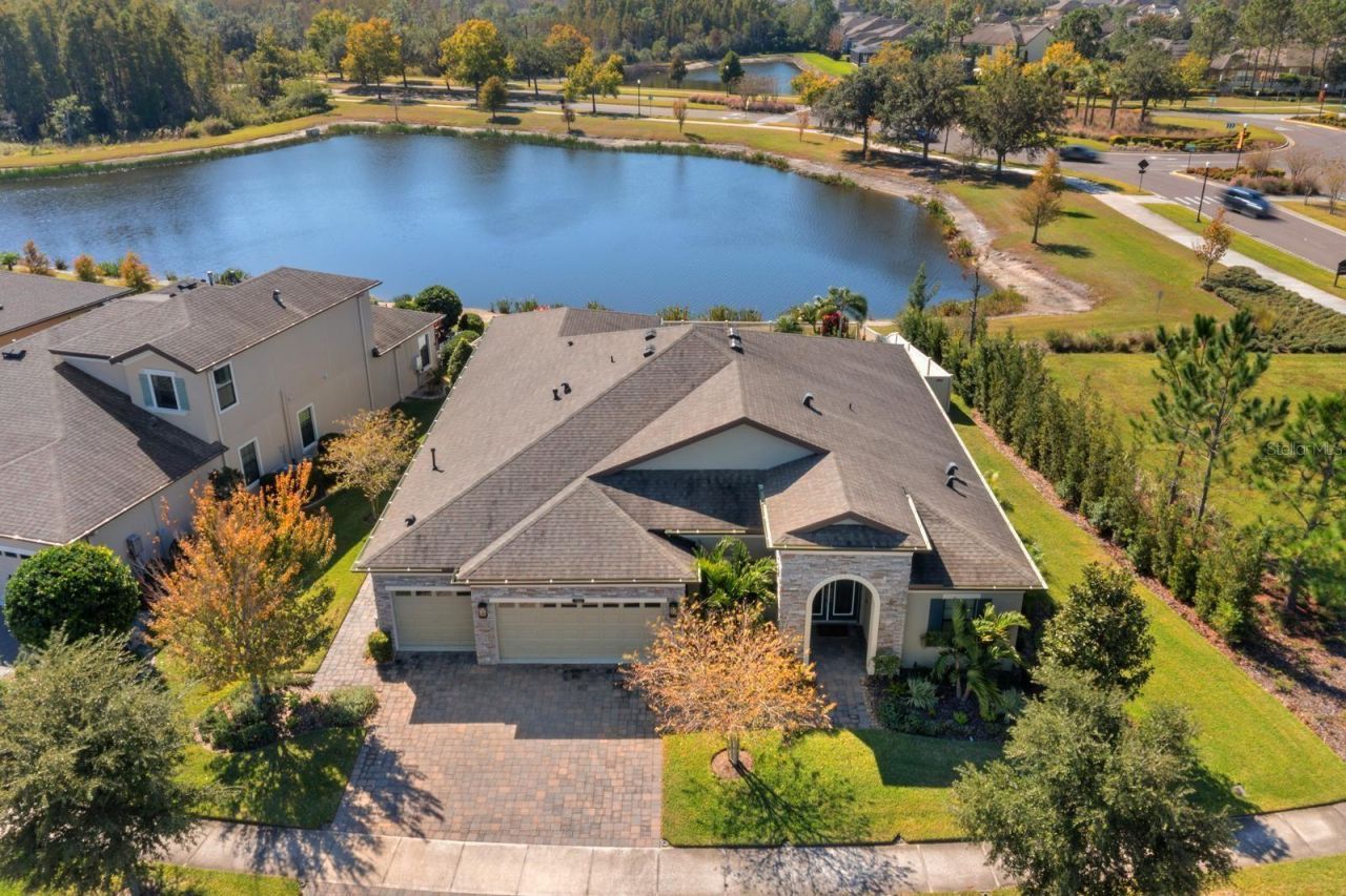 21642 Emory Oak Place, Land O Lakes, FL 34637 Photo