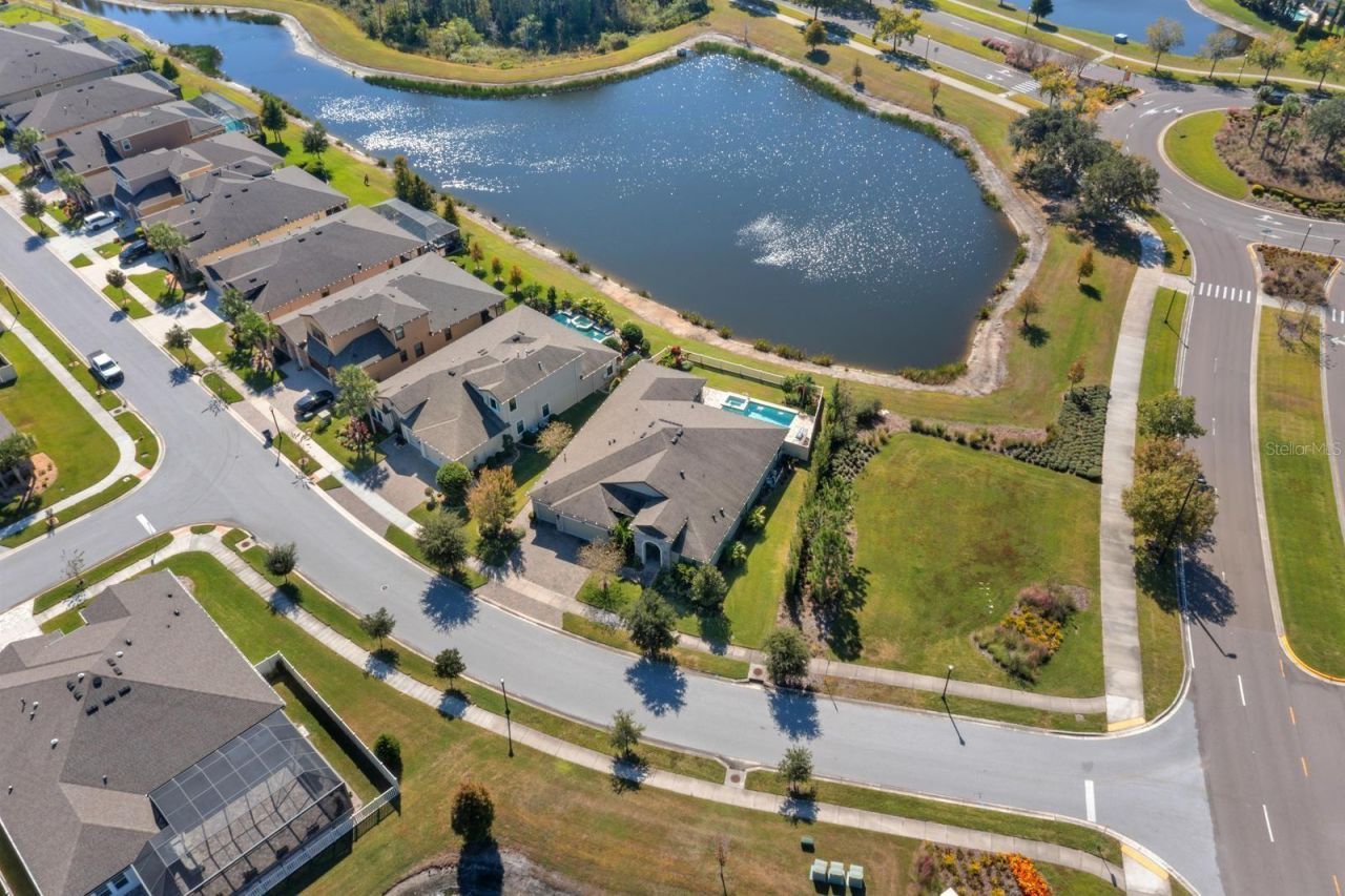 21642 Emory Oak Place, Land O Lakes, FL 34637 Photo