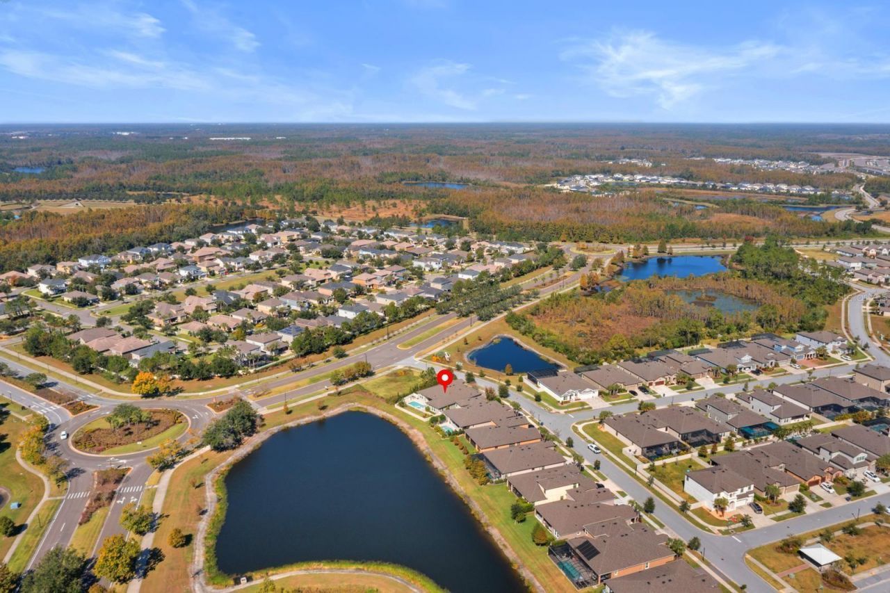 21642 Emory Oak Place, Land O Lakes, FL 34637 Photo