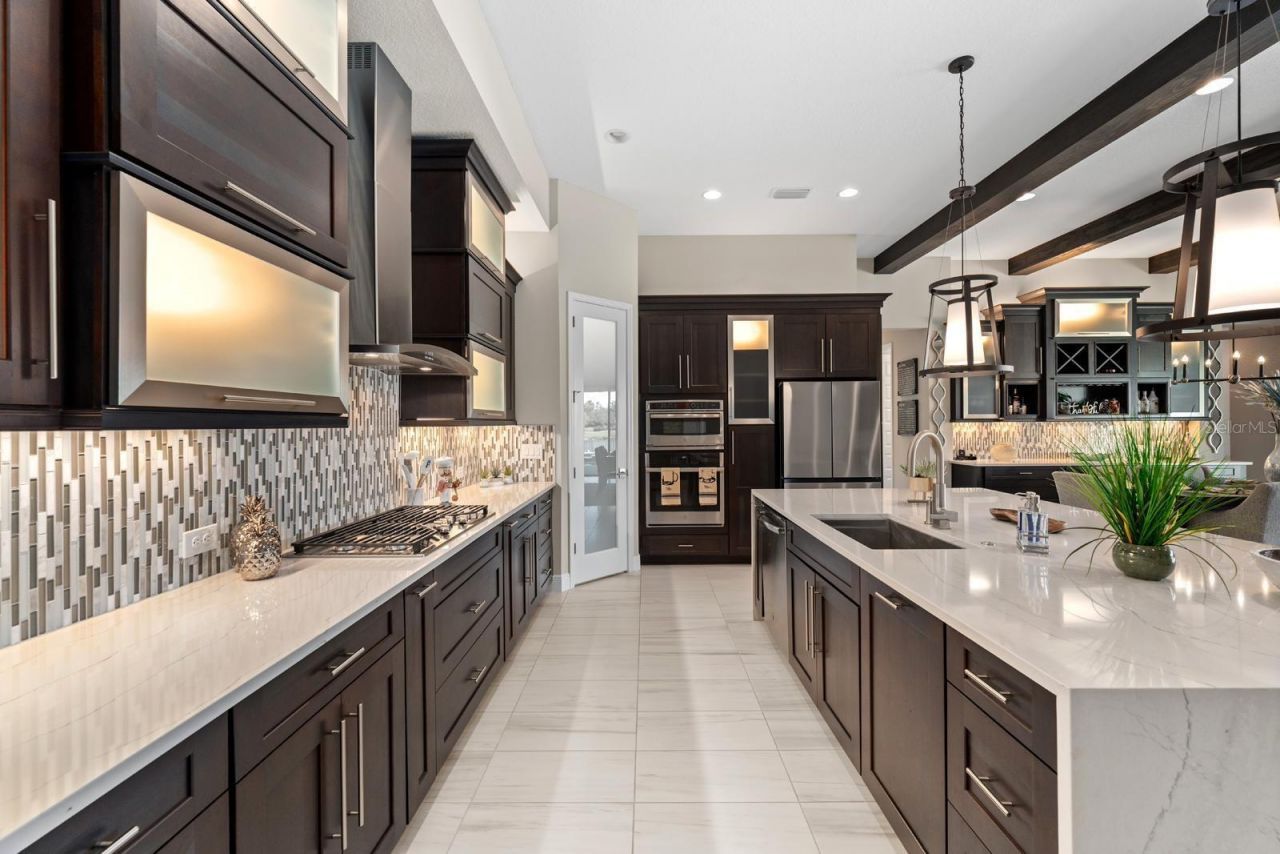 21642 Emory Oak Place, Land O Lakes, FL 34637 Photo