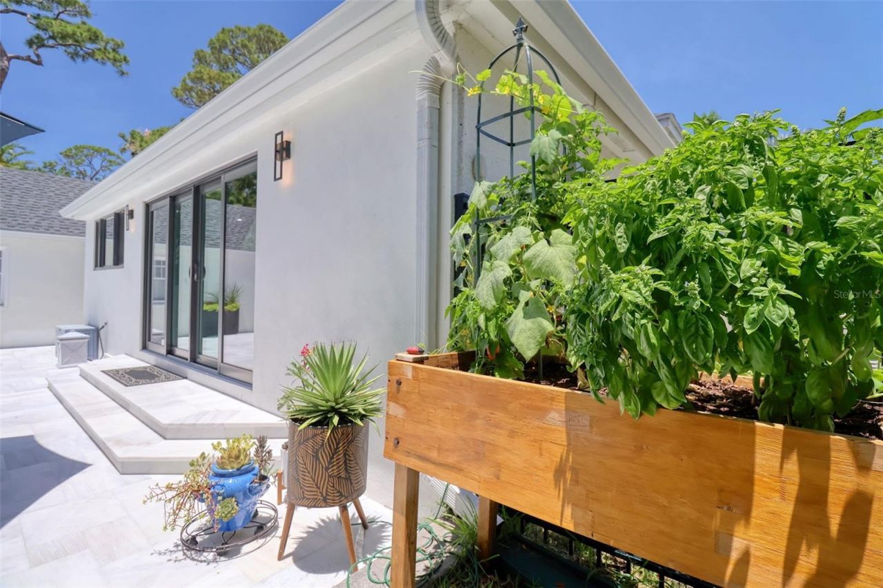 225 President Street, Dunedin, FL 34698 Photo