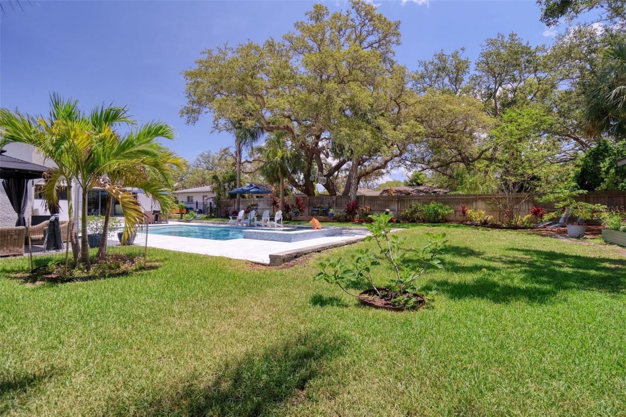 225 President Street, Dunedin, FL 34698 Photo