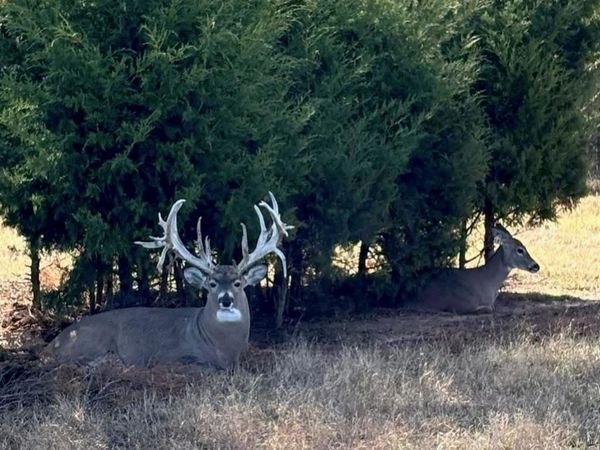 368145 E 980 Road, Boley, OK 74829