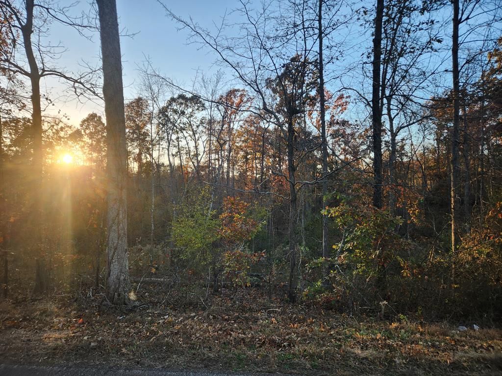 0 W. Antioch Rd., Springville, TN 38256 Main Photo