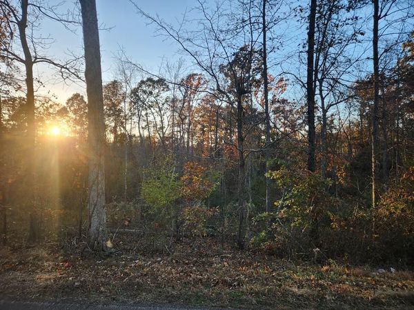 0 W. Antioch Rd., Springville, TN 38256