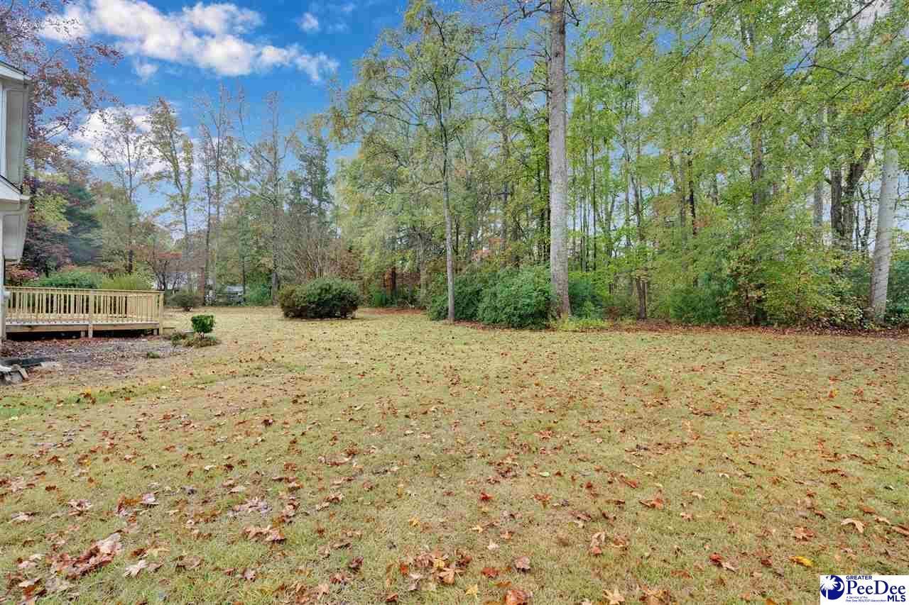 1442 London Drive Photo 37