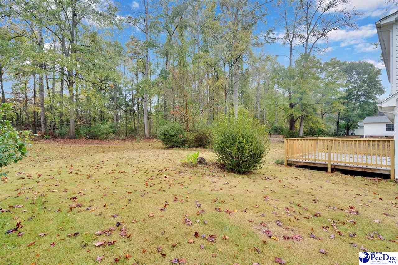 1442 London Drive Photo 39