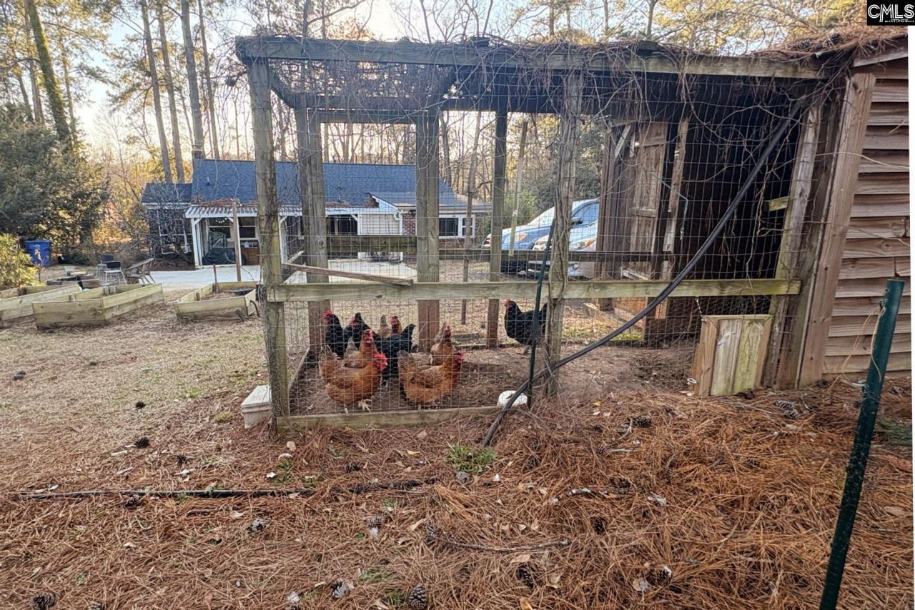 305 Summerlea Drive Photo 22