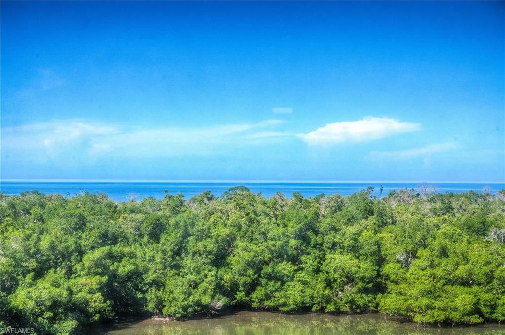 11 Bluebill Ave, Unit 404, Naples, FL 34108 Photo