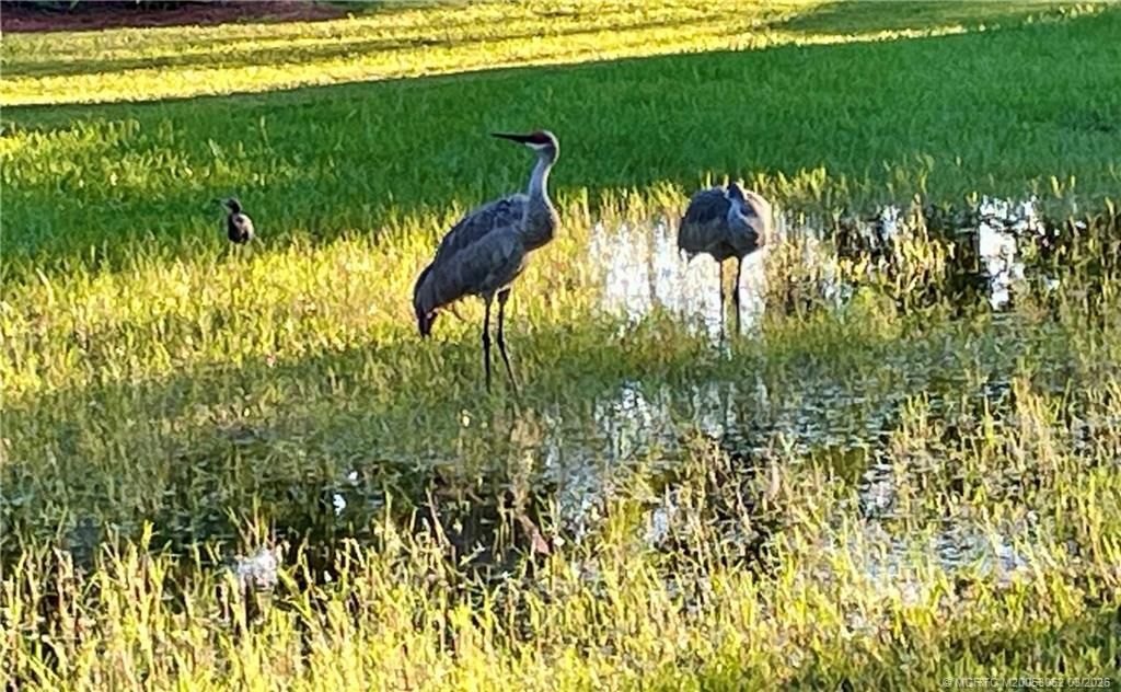 8249 Maidencane Place, Port Saint Lucie, FL 34952 Photo