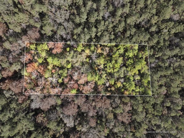 1.08 MOL AC Old HWY 24 Parcel 28, Mc Lain, MS 39456