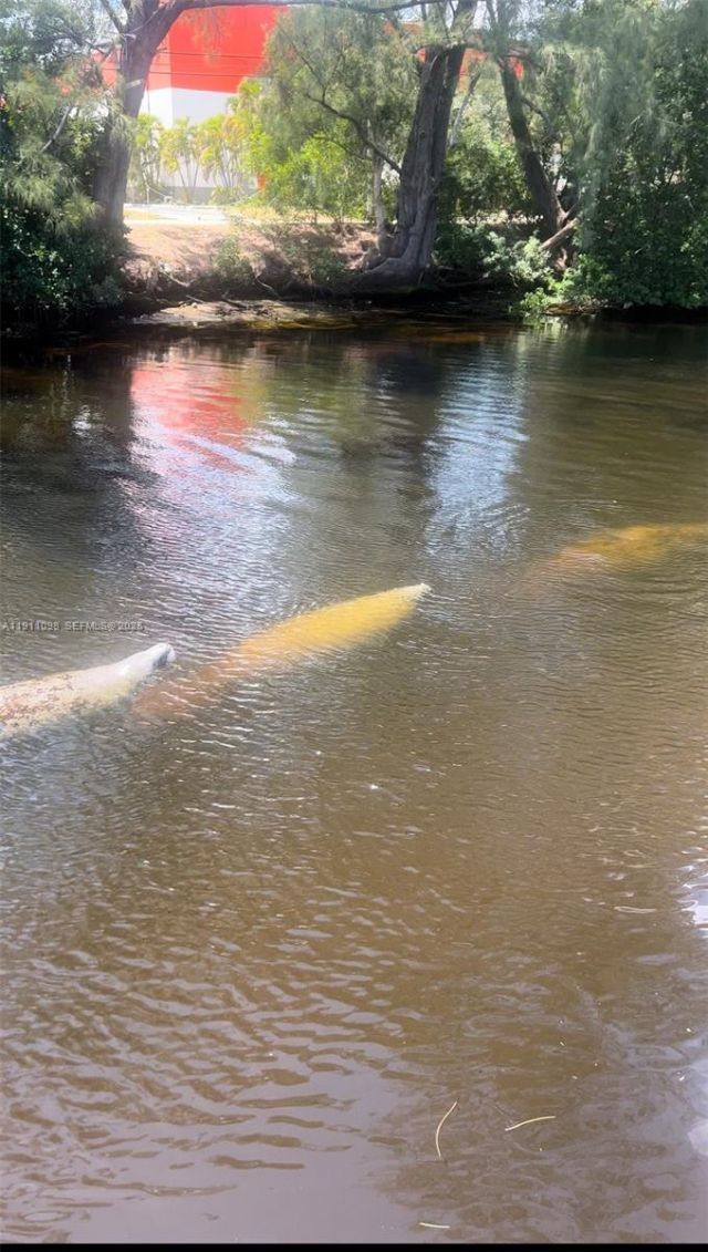 5911 NE 14th Ln, Unit 505S, Fort Lauderdale, FL 33334 Photo