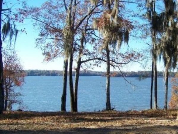 0 Point Drive, Unit LOT 2, 3,, Georgetown, GA 39854