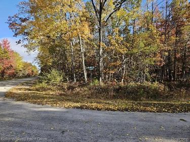 Lot 236 Devonshire Way, Oscoda Township, Mi 48750