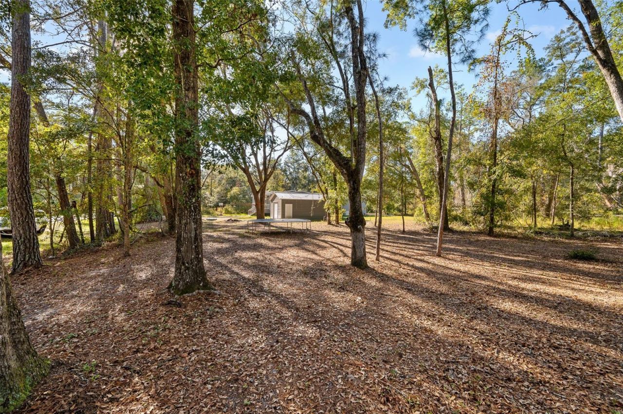 289 NW Adrienne Glen, Lake City, FL 32055 Photo