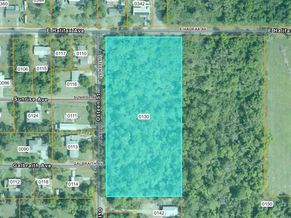 E HALIFAX, OAK HILL, FL 32759