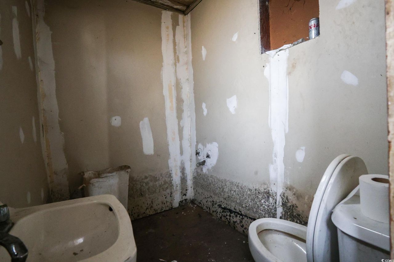 4151 Maple St. Photo 9