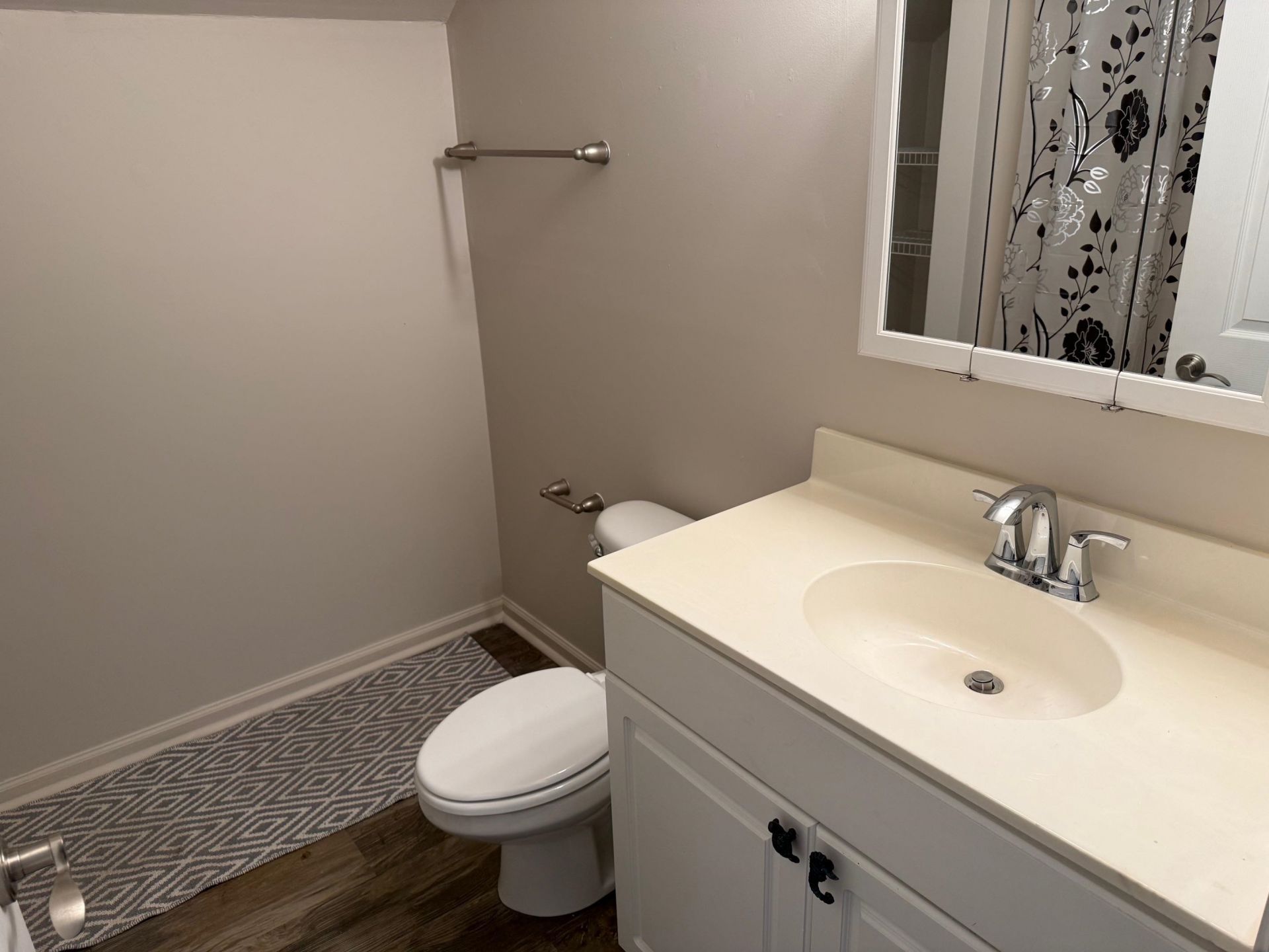 221 Addison Cottage Way Photo 18