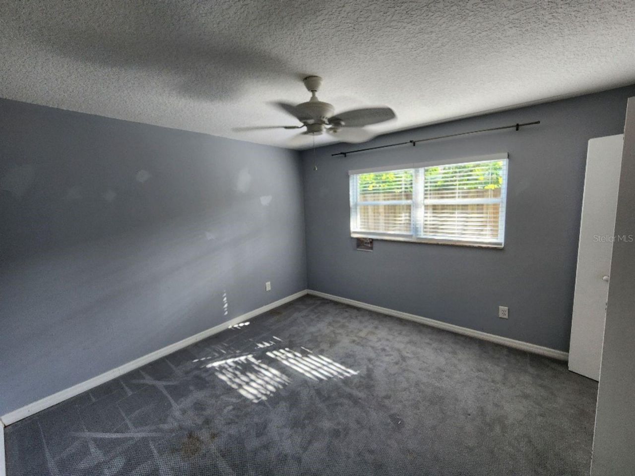 798 E 11th Avenue, New Smyrna Beach, FL 32169 Photo