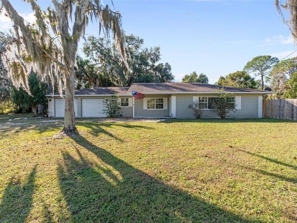 15836 WILSON PARRISH ROAD, UMATILLA, FL 32784