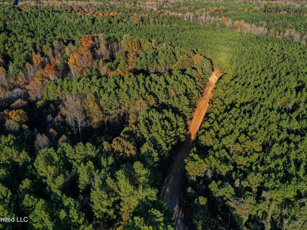 2075 County Rd 180, New Albany, MS 38652