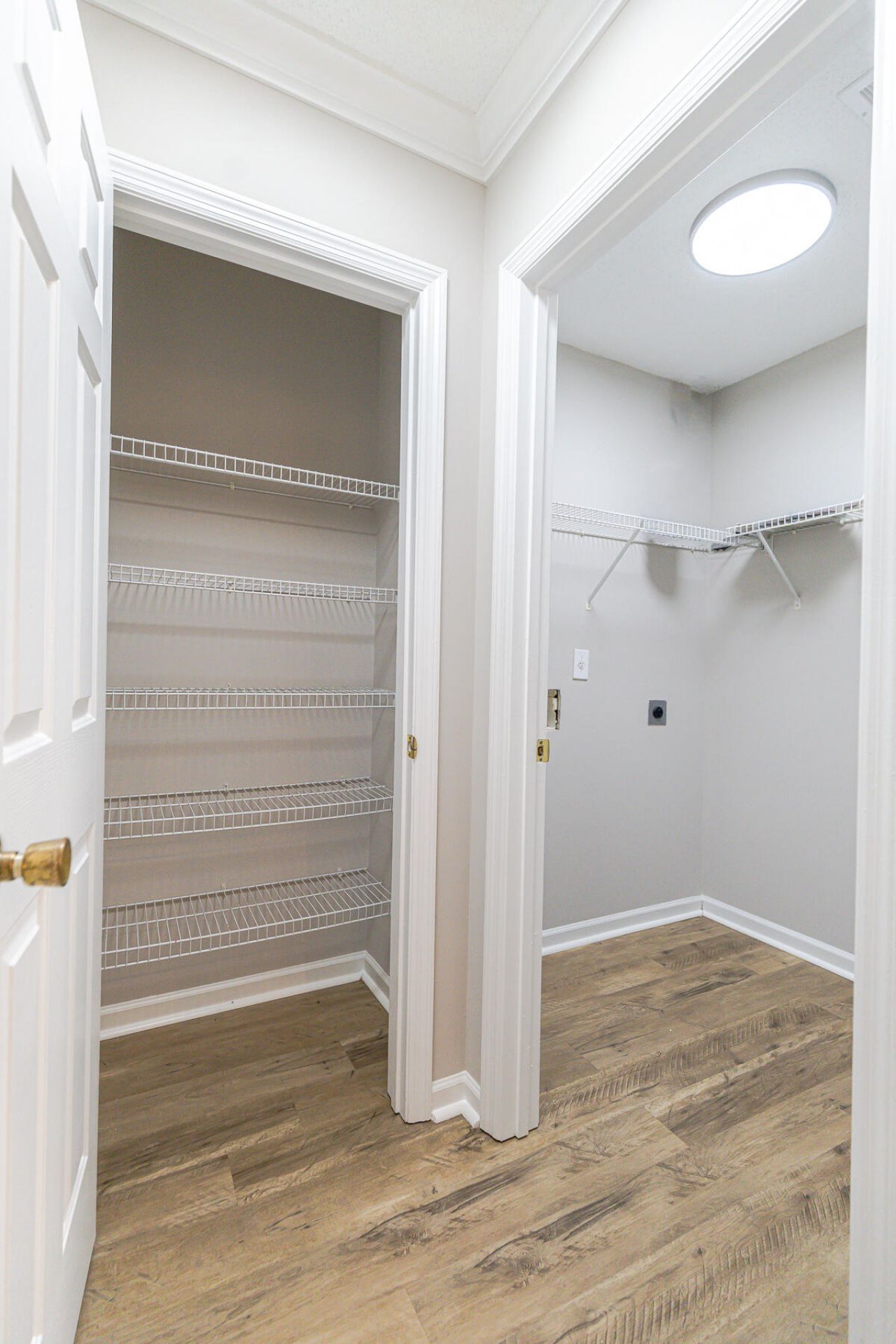 304 Elm Hall Circle Photo 15