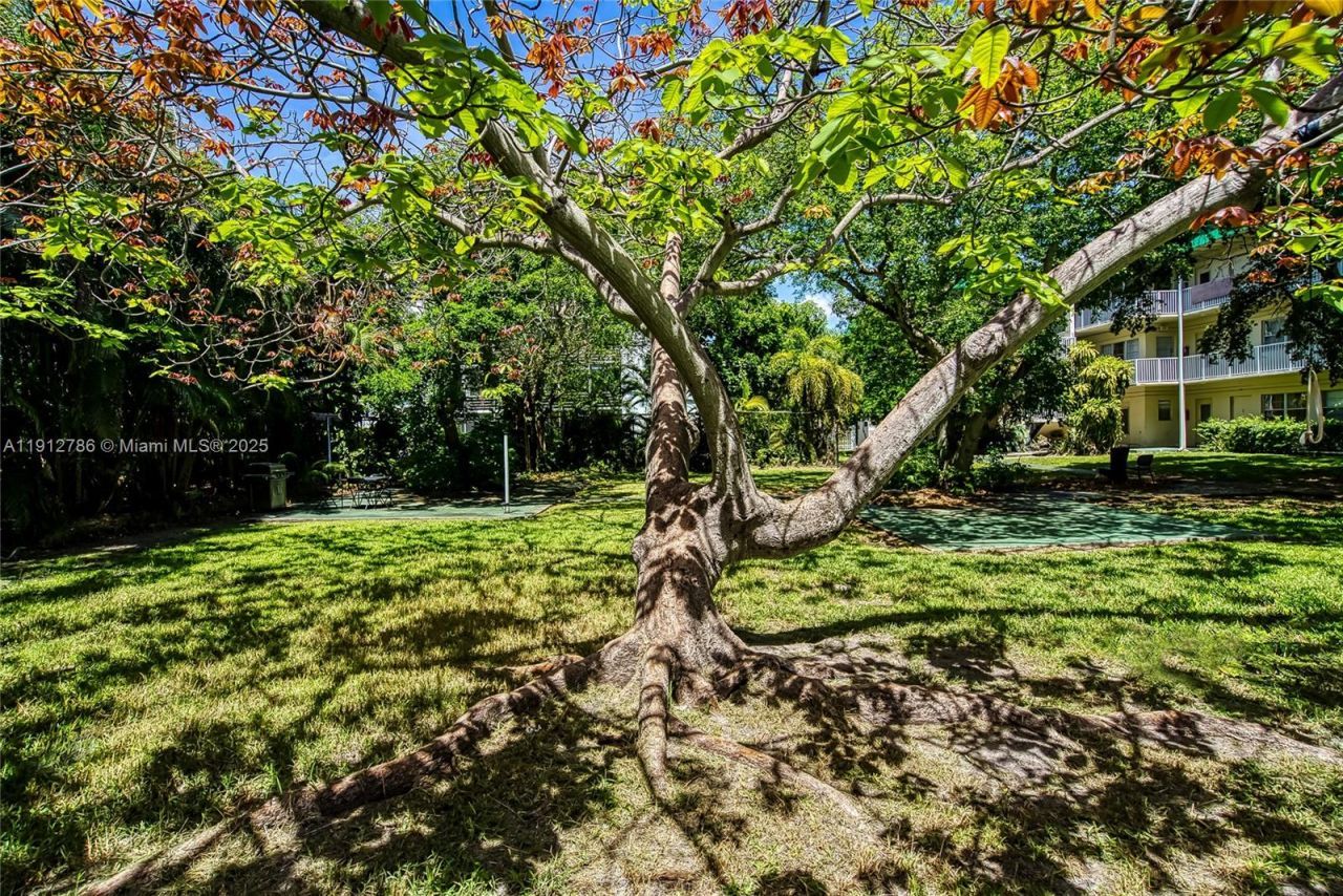 1420 Atlantic Shores Blvd, Unit 340, Hallandale Beach, FL 33009 Photo