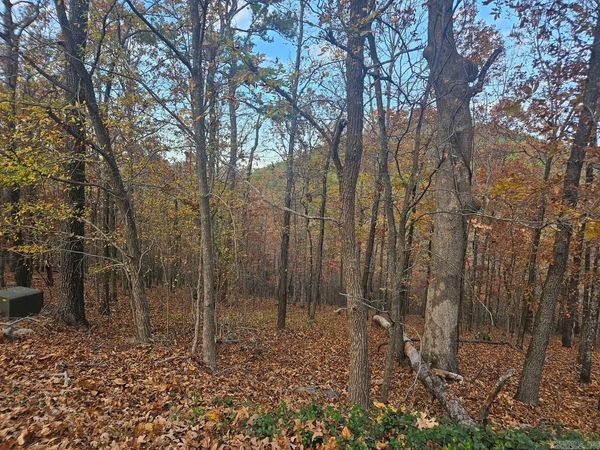 43 BINEFAR WAY, Hot Springs Village, AR 71909
