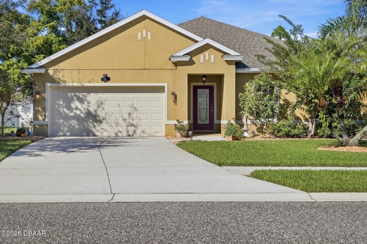 740 Grape Ivy Lane, New Smyrna Beach, FL 32168 Photo