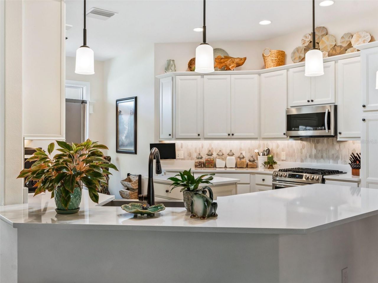 1579 Mceldowney Place, The Villages, FL 32163 Photo