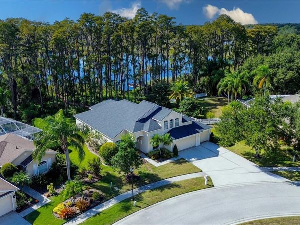 13815 CHANDRON DRIVE, ODESSA, FL 33556