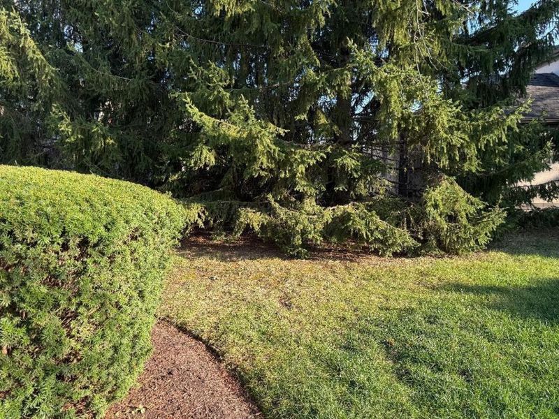 6031 Cromdale Drive, Dublin, OH 43017 Photo 40