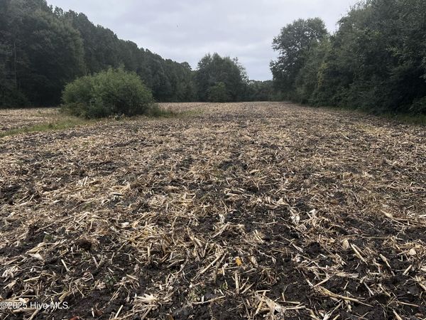 450 Swamp Road, Pantego, NC 27860