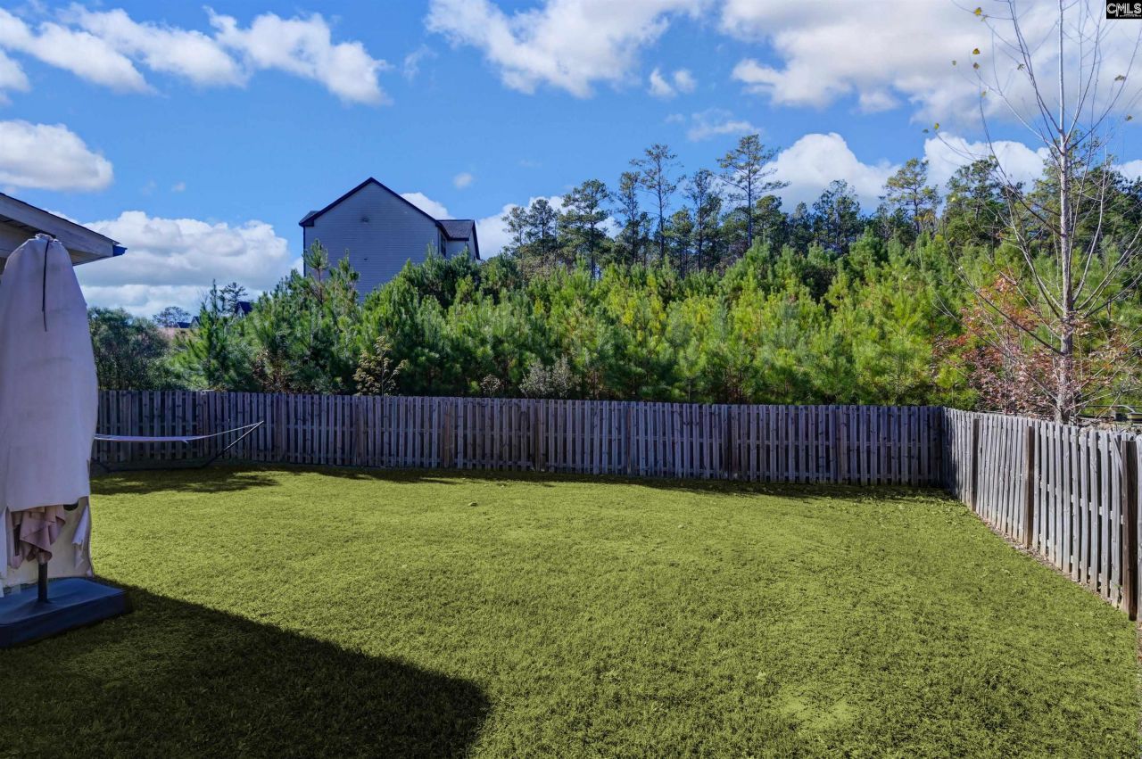 1055 Grey Duck Lane Photo 48