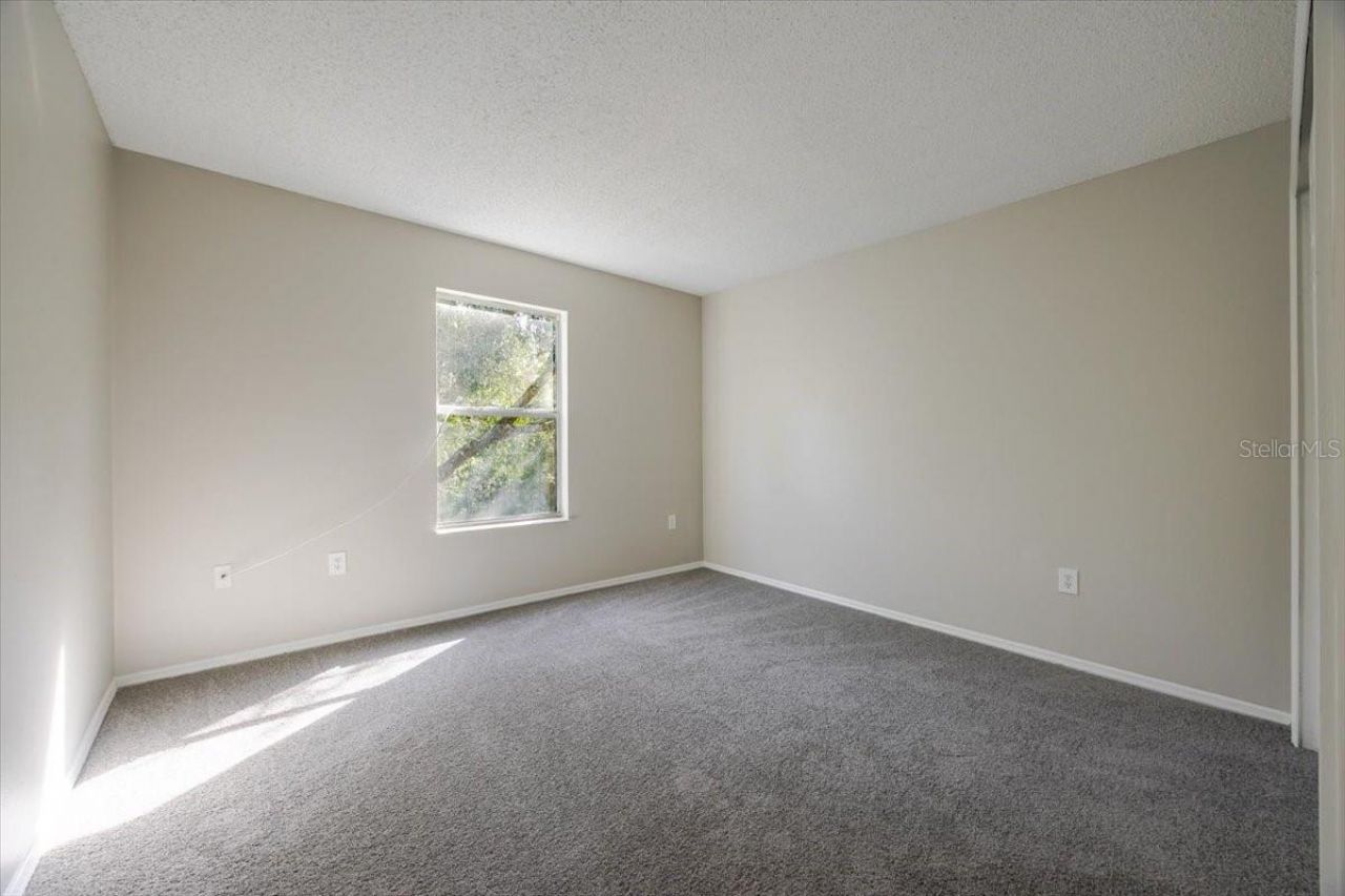 14155 Ridge Creek Court, Orlando, FL 32824 Photo