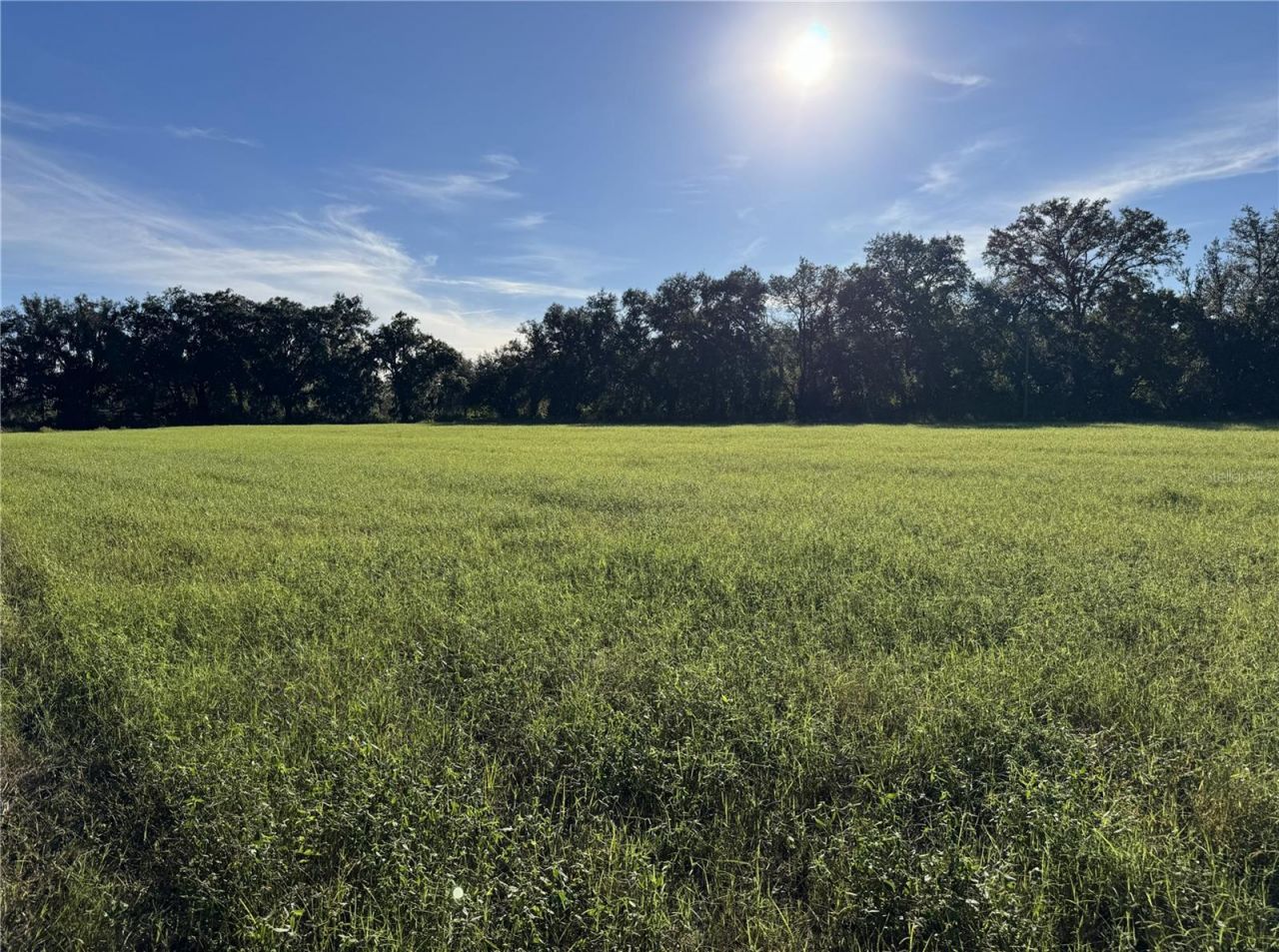 23207 E County Road 1474, Hawthorne, FL 32640 Photo