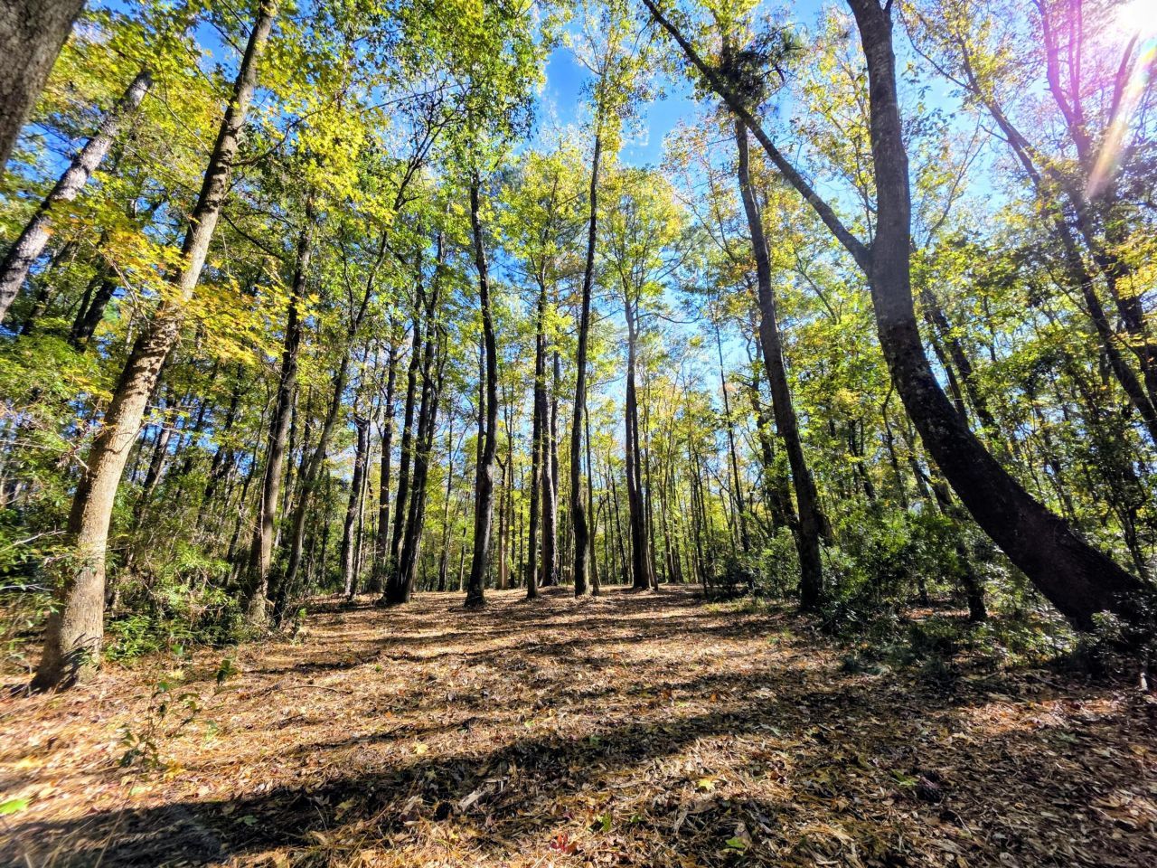 3047 Fickling Hill Road Photo 1