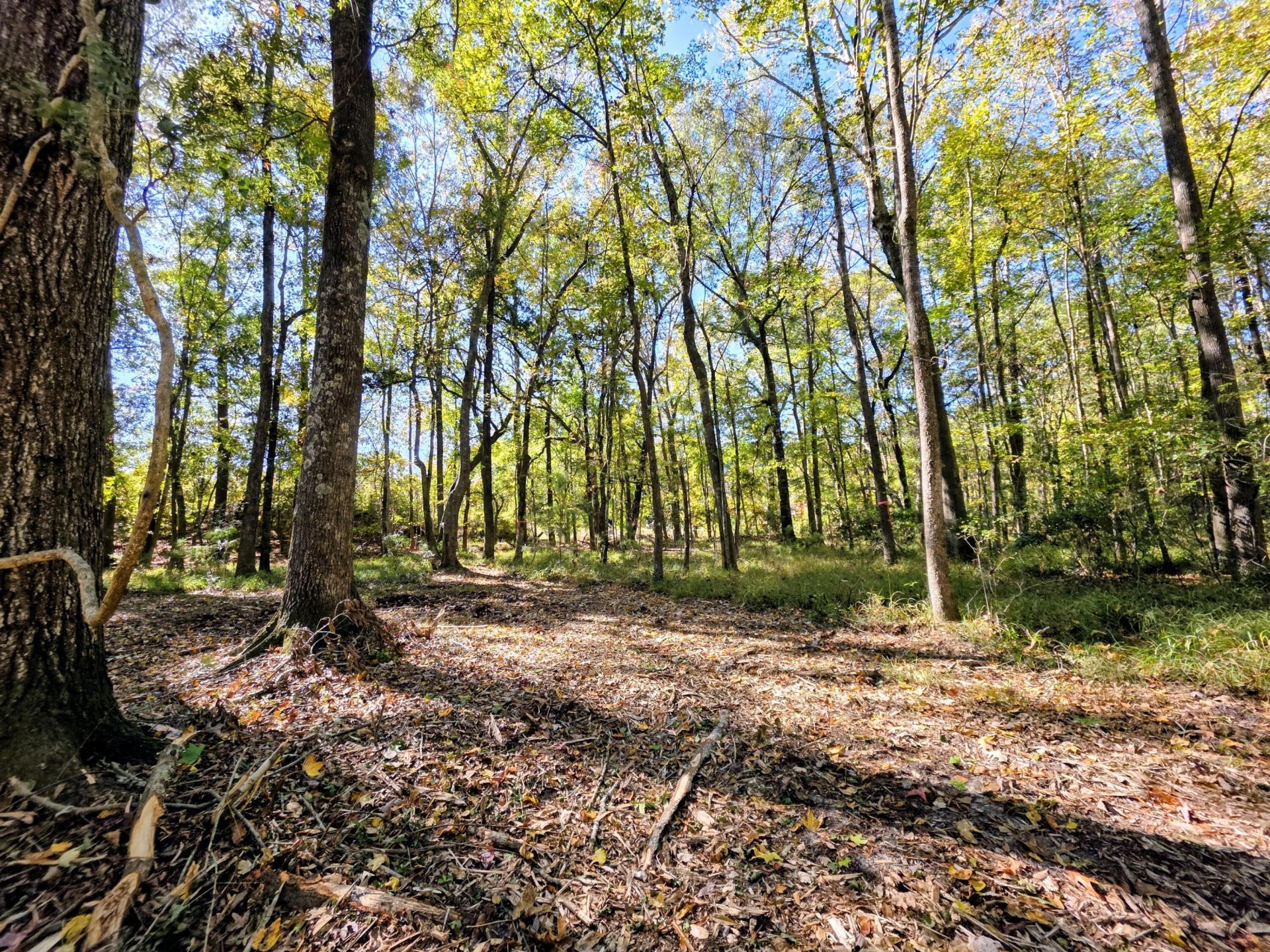 3047 Fickling Hill Road Photo 10