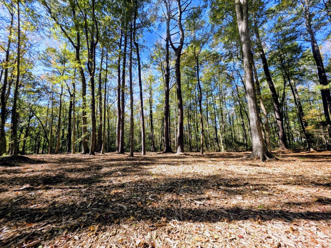 3047 Fickling Hill Road Photo 13