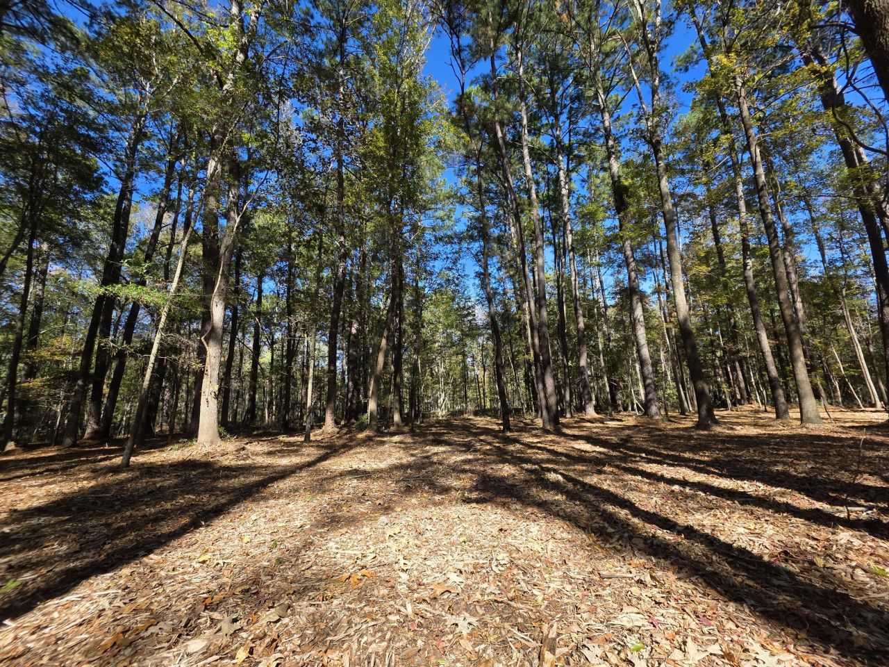 3047 Fickling Hill Road Photo 14