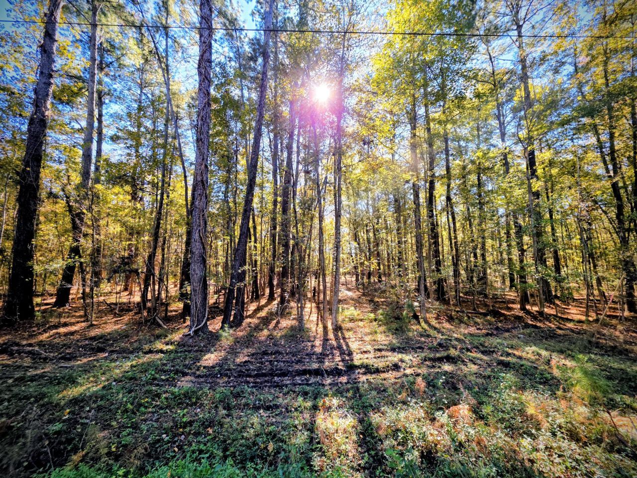 3047 Fickling Hill Road Photo 2